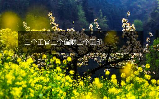三个正官三个偏财三个正印 三个正官三个偏财三个正印