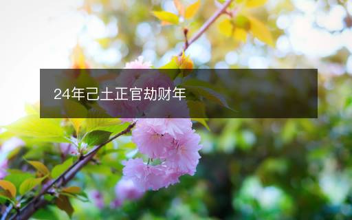 24年己土正官劫财年