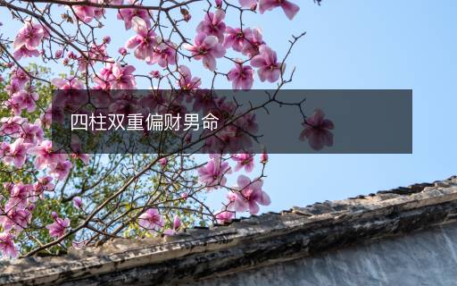 四柱双重偏财男命