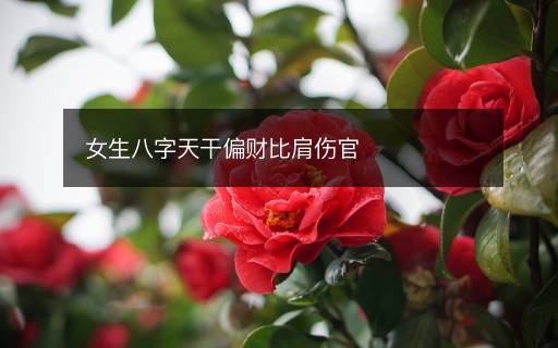 女生八字天干偏财比肩伤官