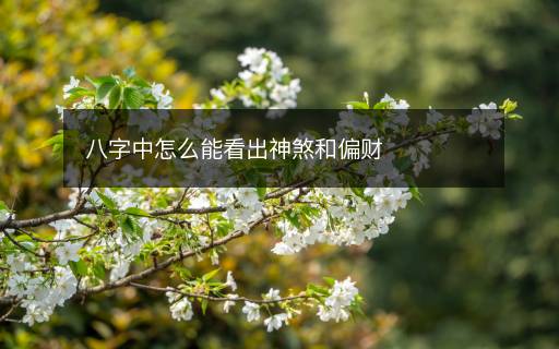 八字中怎么能看出神煞和偏财