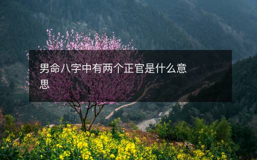 男命八字中有两个正官是什么意思 男命八字中有两个正官是什么意思