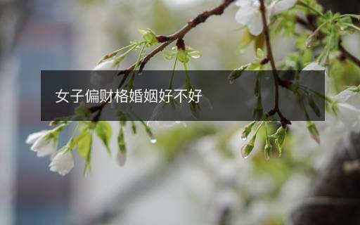 女子偏财格婚姻好不好