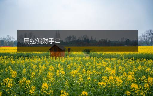 属蛇偏财手串