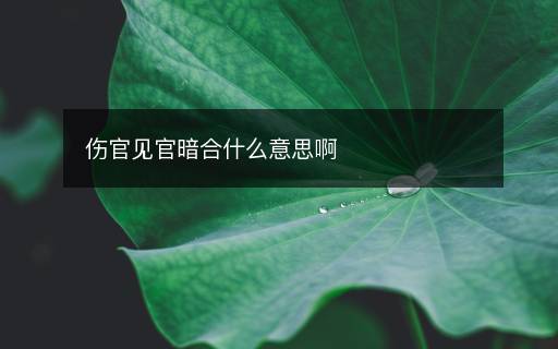 伤官见官暗合什么意思啊