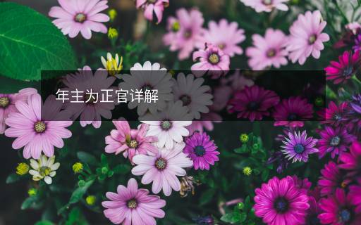 年主为正官详解