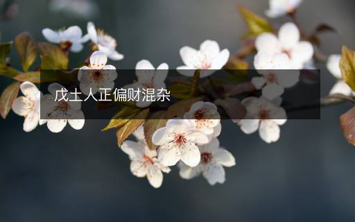 戊土人正偏财混杂