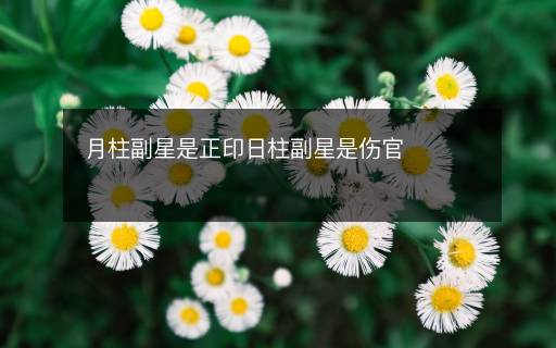 月柱副星是正印日柱副星是伤官 月柱副星是正印日柱副星是伤官