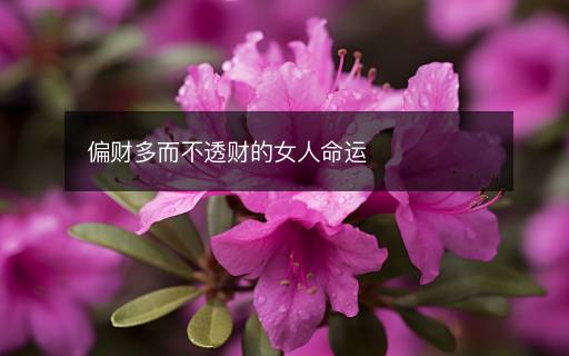 偏财多而不透财的女人命运