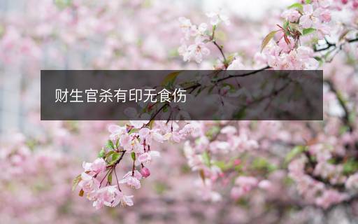 财生官杀有印无食伤