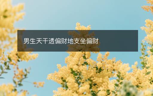 男生天干透偏财地支坐偏财