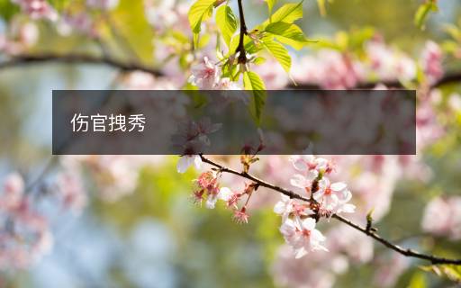 伤官拽秀 伤官拽秀