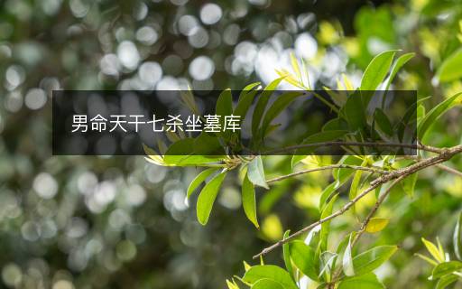 男命天干七杀坐墓库
