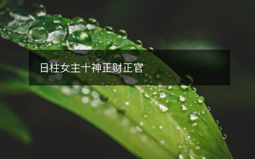 日柱女主十神正财正官