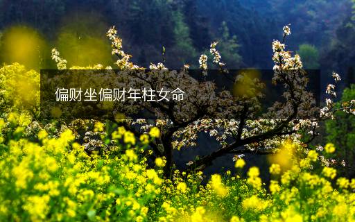 偏财坐偏财年柱女命