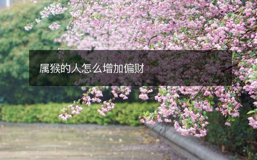 属猴的人怎么增加偏财