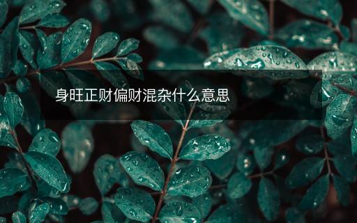 身旺正财偏财混杂什么意思