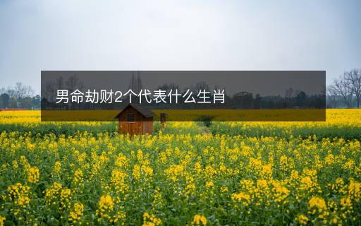 男命劫财2个代表什么生肖