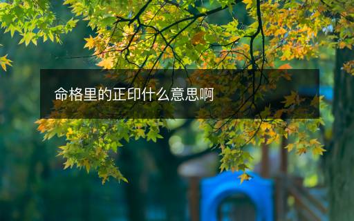 命格里的正印什么意思啊