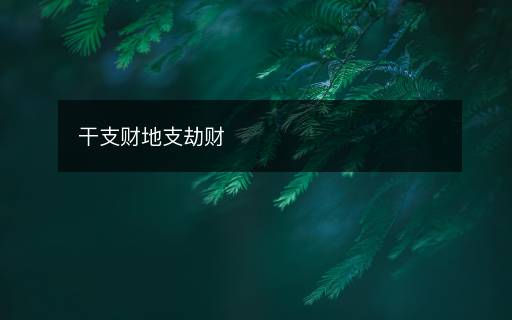 干支财地支劫财