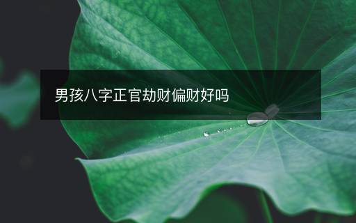 男孩八字正官劫财偏财好吗