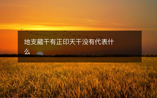 地支藏干有正印天干没有代表什么