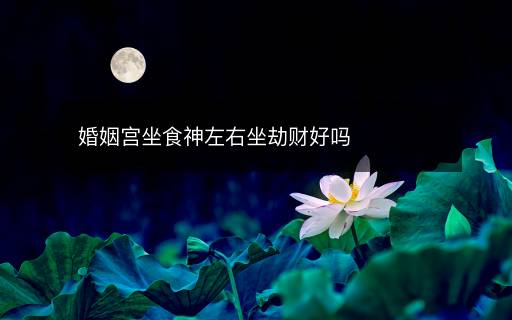 婚姻宫坐食神左右坐劫财好吗