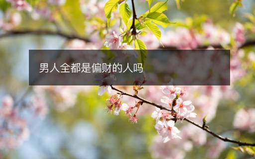 男人全都是偏财的人吗