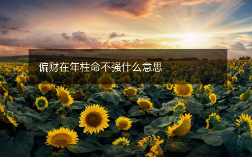 偏财在年柱命不强什么意思