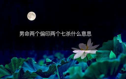 男命两个偏印两个七杀什么意思