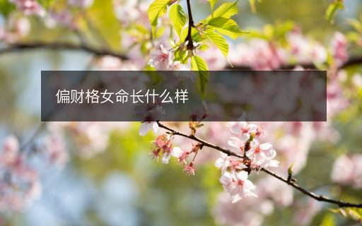 偏财格女命长什么样