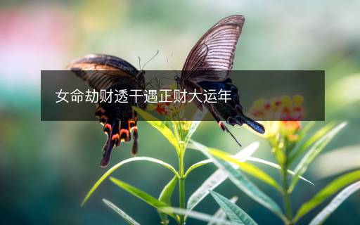 女命劫财透干遇正财大运年