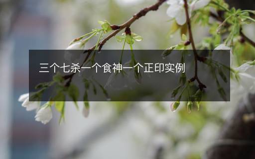 三个七杀一个食神一个正印实例