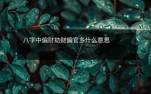 八字中偏财劫财偏官多什么意思