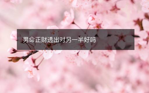 男命正财透出对另一半好吗