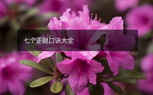七个正财口诀大全