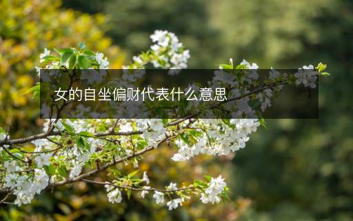 女的自坐偏财代表什么意思
