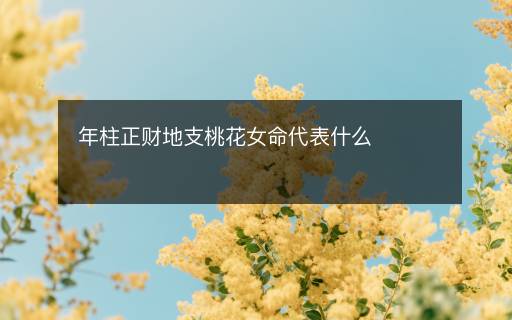 年柱正财地支桃花女命代表什么