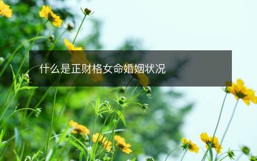 什么是正财格女命婚姻状况 什么是正财格女命婚姻状况