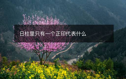 日柱里只有一个正印代表什么