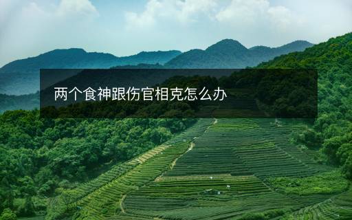 两个食神跟伤官相克怎么办