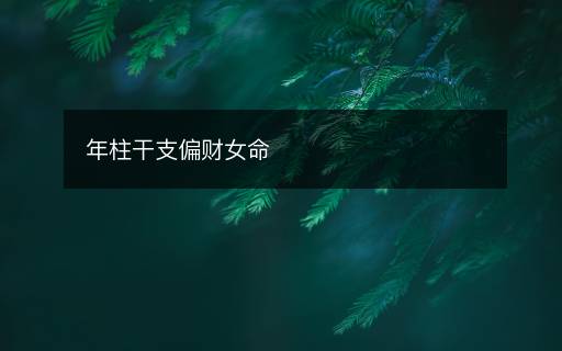 年柱干支偏财女命