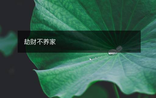 劫财不养家