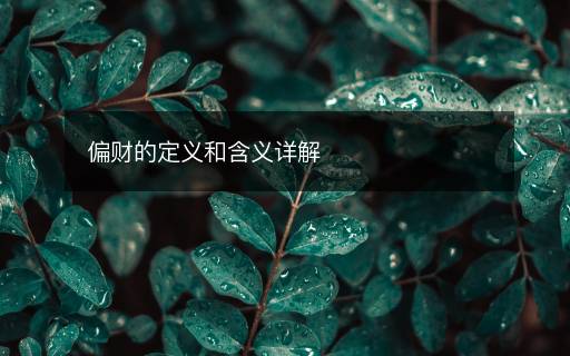 偏财的定义和含义详解