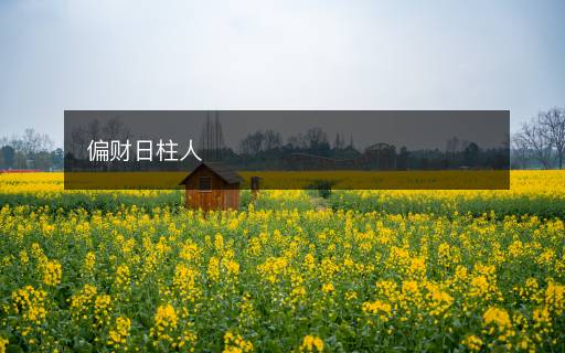 偏财日柱人