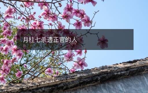 月柱七杀透正官的人