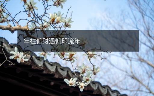 年柱偏财遇偏印流年