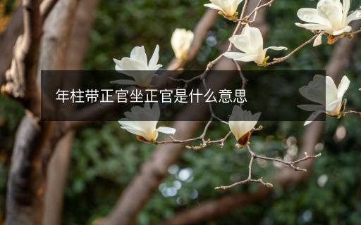 年柱带正官坐正官是什么意思