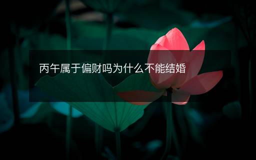 丙午属于偏财吗为什么不能结婚 丙午属于偏财吗为什么不能结婚