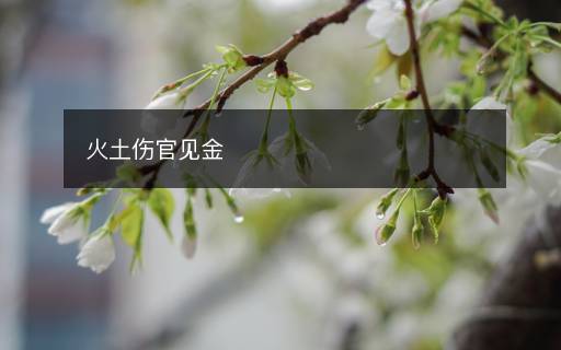 火土伤官见金